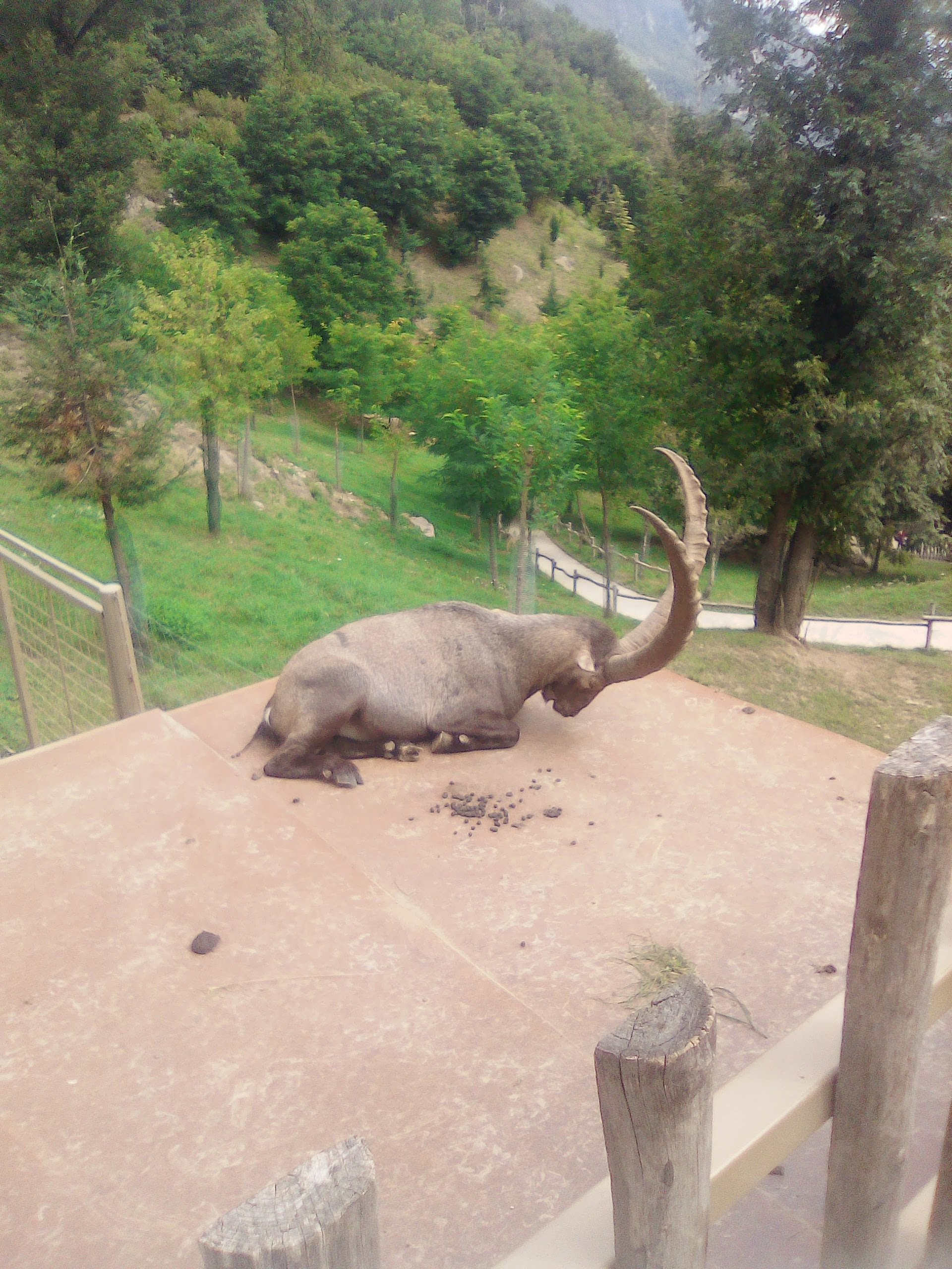 Photo n° 11 de l'avis de Imelda.i fait le 24/08/2019 à 20:04