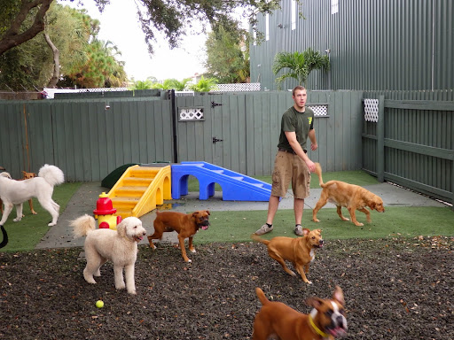 Paws 'n' Rec - Pearl