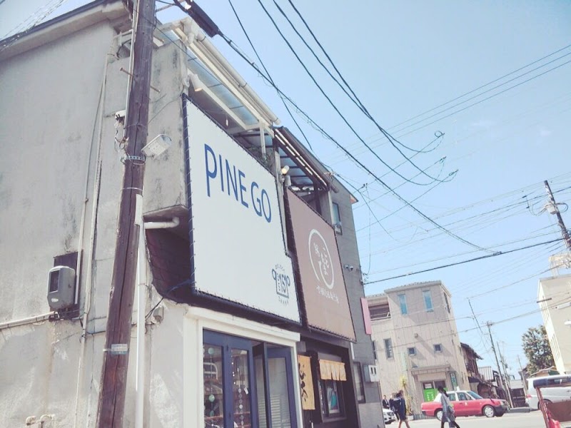 pINEGO