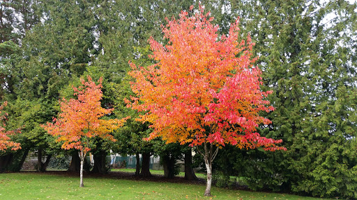 Park «Matthews Beach Park», reviews and photos, 5100 NE 93rd St, Seattle, WA 98115, USA