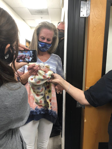 Pet Supply Store «PetSmart», reviews and photos, 5521 Mirage St, Yorba Linda, CA 92887, USA