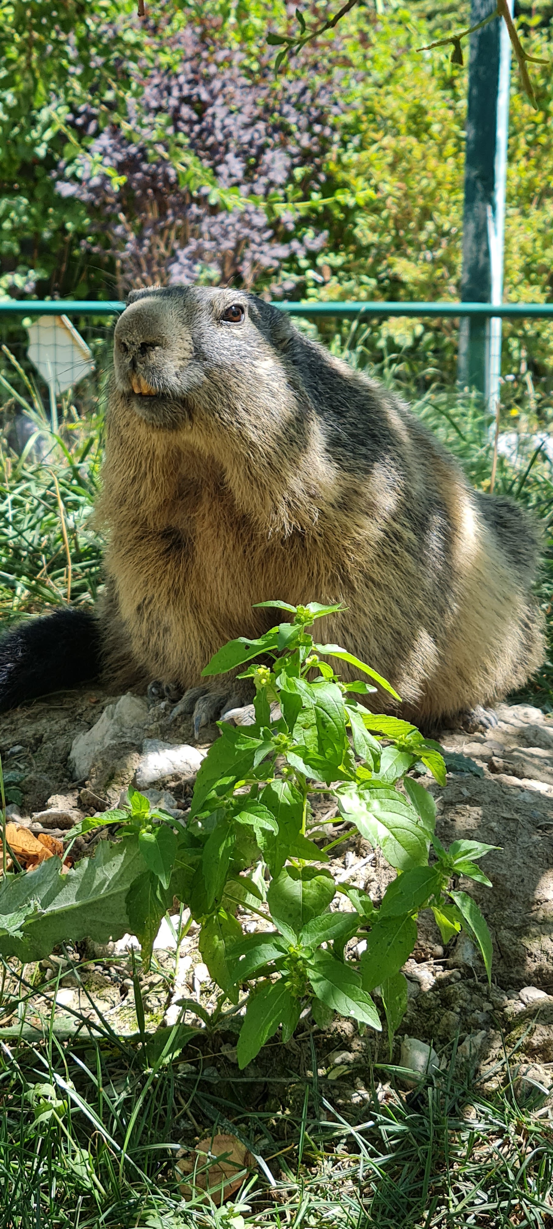 Photo n° 3 de l'avis de Corentin.o fait le 30/07/2023 à 13:52