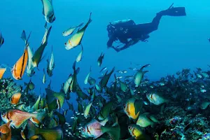 Borehamwood Scuba | PADI & SSI | Learn to Scuba with us | Dive School | Dive Trips image