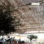 Photo n°2 de l'avis de Jennifer.r fait le 27/07/2019 à 23:10 sur le  Penelope a Mare à Pescara