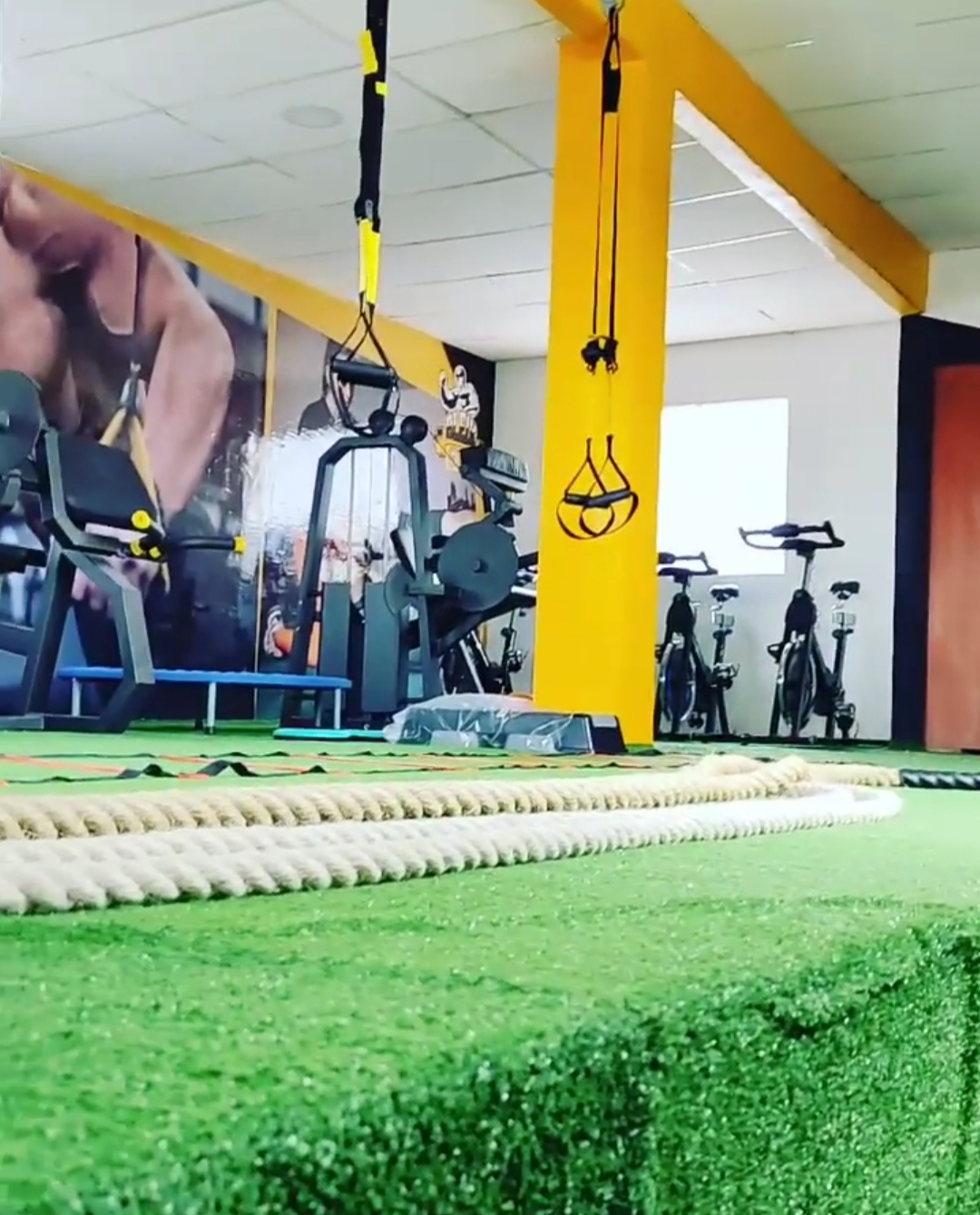 Bleik Gym