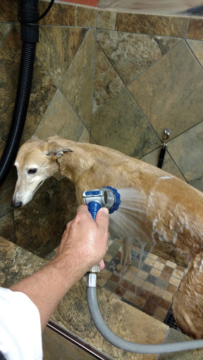 Pet Supply Store «Pet Valu», reviews and photos, 1308 Main Chapel Way, Gambrills, MD 21054, USA