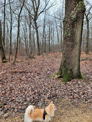 Verrières à Verrières-le-Buisson