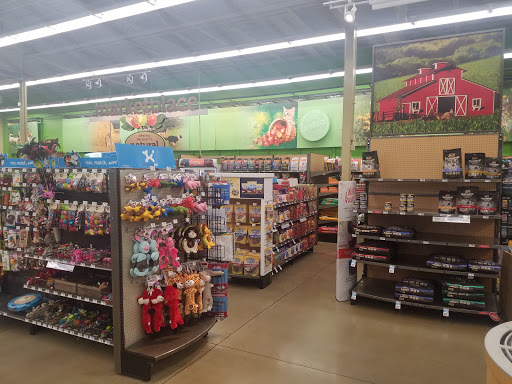 Pet Supply Store «Petco Animal Supplies», reviews and photos, 21348 Kuykendahl Rd, Spring, TX 77379, USA