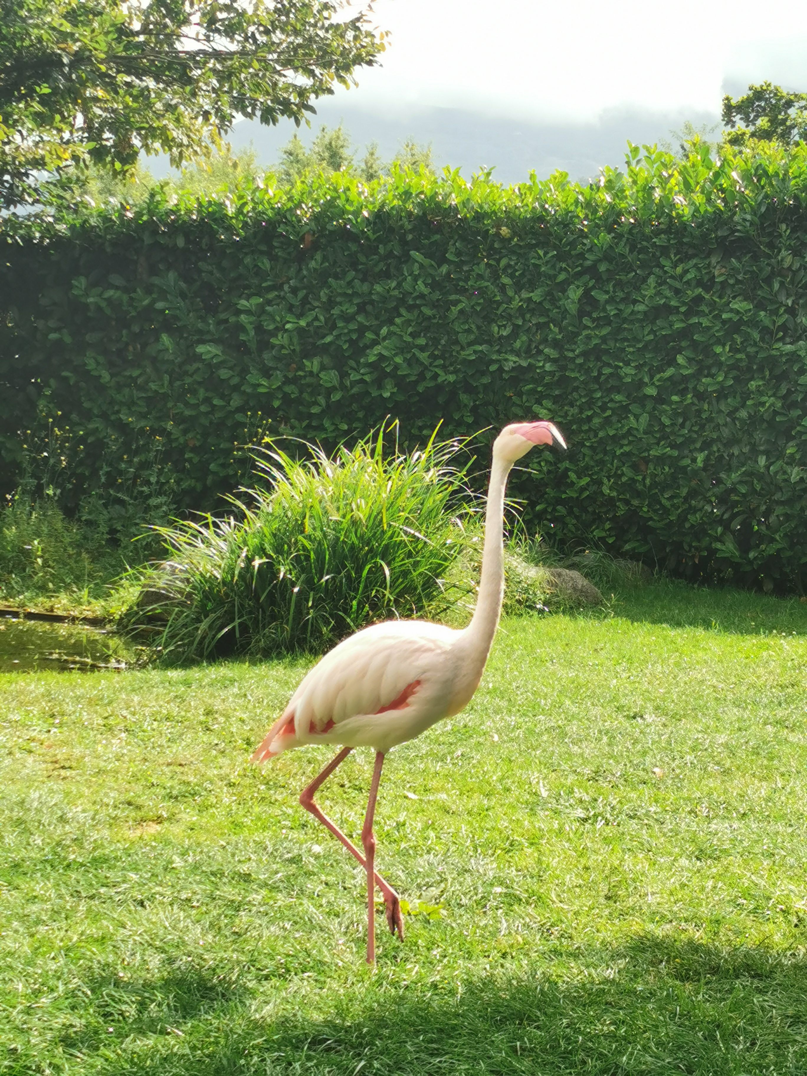 Photo n° 5 de l'avis de Clement.r fait le 17/08/2023 à 05:06