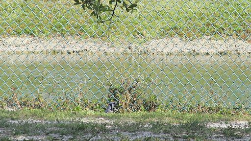 Nature Preserve «Woodmont Natural Area», reviews and photos, 7250 NW 80th Pl, Pompano Beach, FL 33321, USA