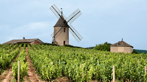 Magasin de vins et spiritueux Domaine du Moulin A Vent Romanèche-Thorins