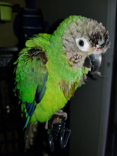 Pet Store «Pet World», reviews and photos, 7585 W 10th Ave, Lakewood, CO 80214, USA