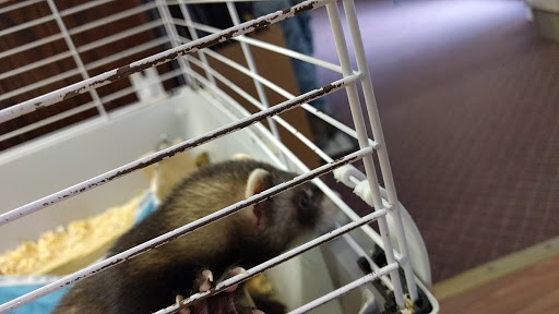 Pet Store «AquaVarium Pets And Supplies», reviews and photos, 95 W Bridge St, Catskill, NY 12414, USA