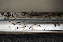 T&G Pest Control - Photo 9 - Car repair in , Evansville