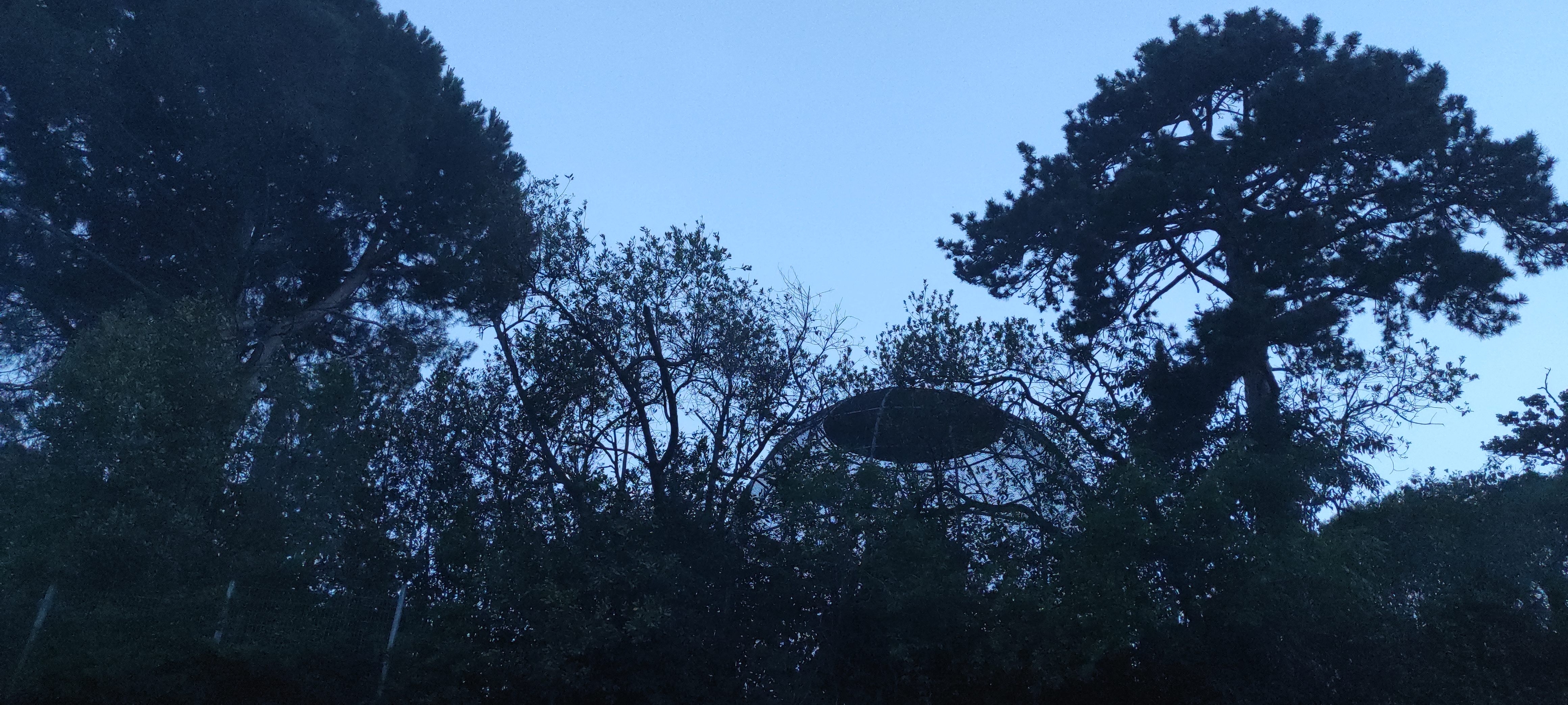 Photo n° 35 de l'avis de barbara.i fait le 04/07/2022 à 20:51