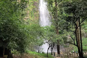 cascade de Yikpa image