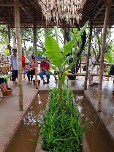 Vườn thảo dược Hai Trải
