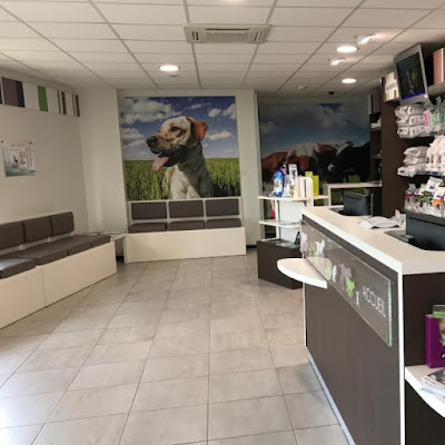 Clinique vétérinaire Vet'02 à Charmes