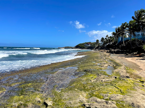 Kikita Surf beach