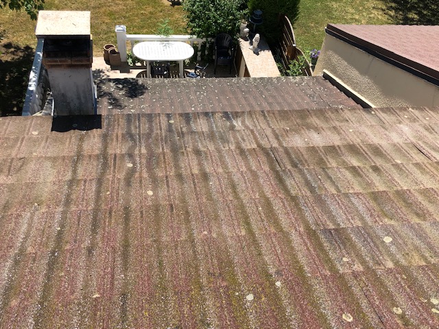 Photo n° 2 de l'avis de L. fait le 20/07/2020 à 15:25