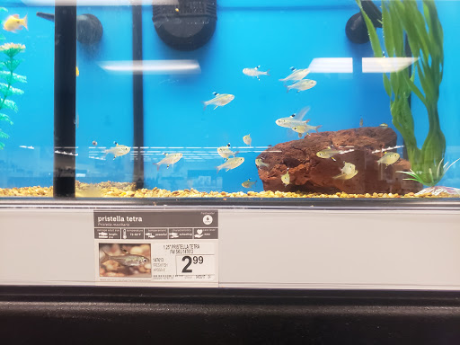 Pet Supply Store «Petco Animal Supplies», reviews and photos, 6761 Westminster Ave, Westminster, CA 92683, USA