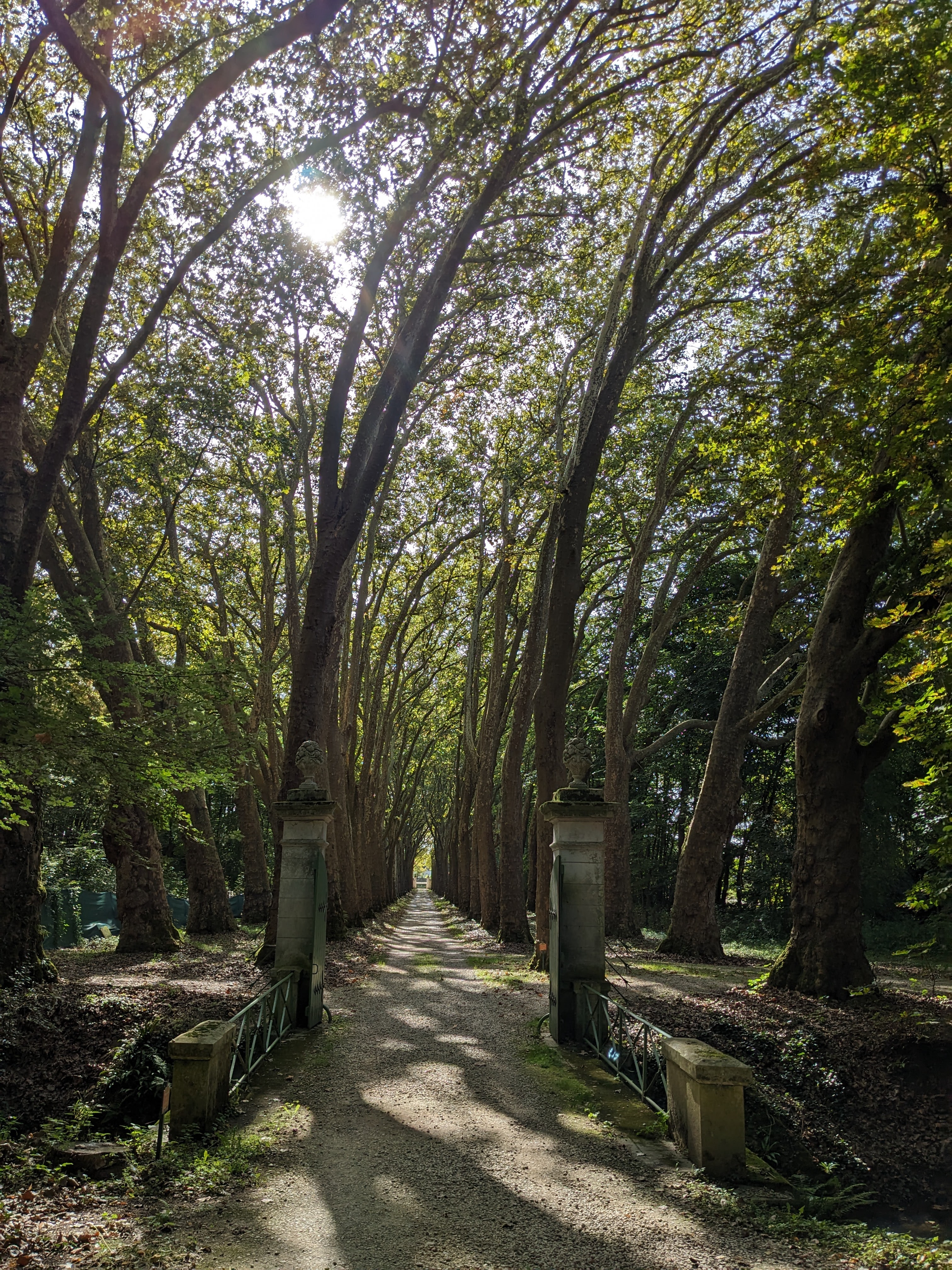 Photo n° 7 de l'avis de Antonin.e fait le 03/11/2023 à 13:01