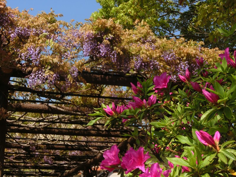 渋川公園 岡山県玉野市渋川 公園 公園 グルコミ