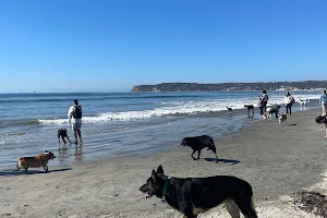 Coronado Dog Beach image