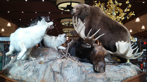 Outdoor Sports Store «Field & Stream», reviews and photos, 3851 Chapel Ln, Hoover, AL 35244, USA