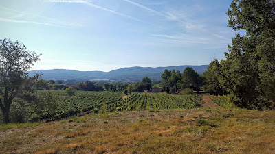 Domaine de la Réaltière à Rians