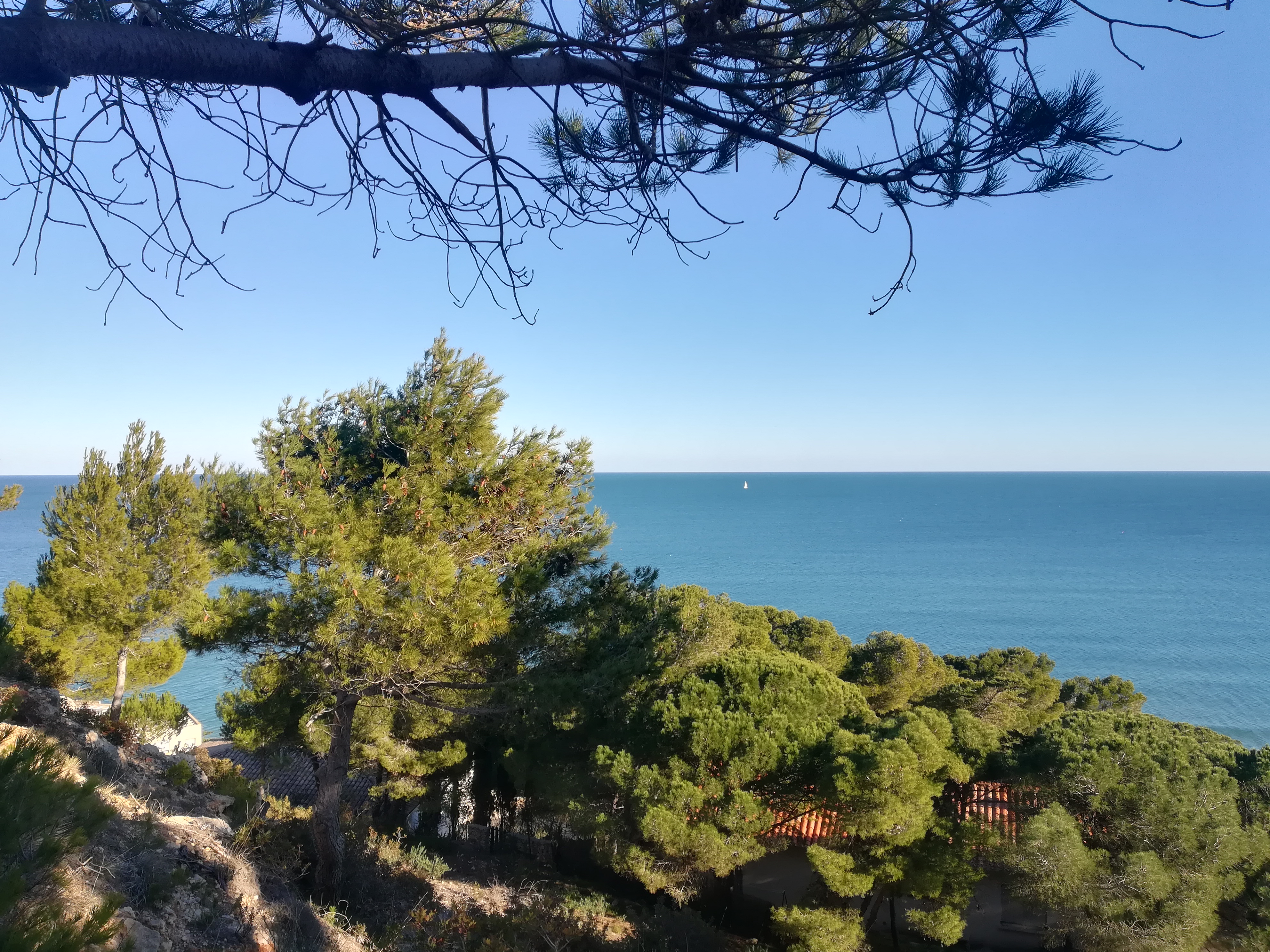 Photo n° 11 de l'avis de Sebastien.i fait le 22/01/2022 à 17:46