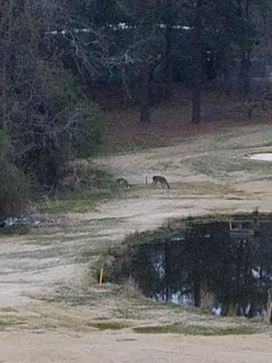 Golf Course «Fort Jackson Golf Club», reviews and photos, 3652 Semmes Rd, Fort Jackson, SC 29072, USA