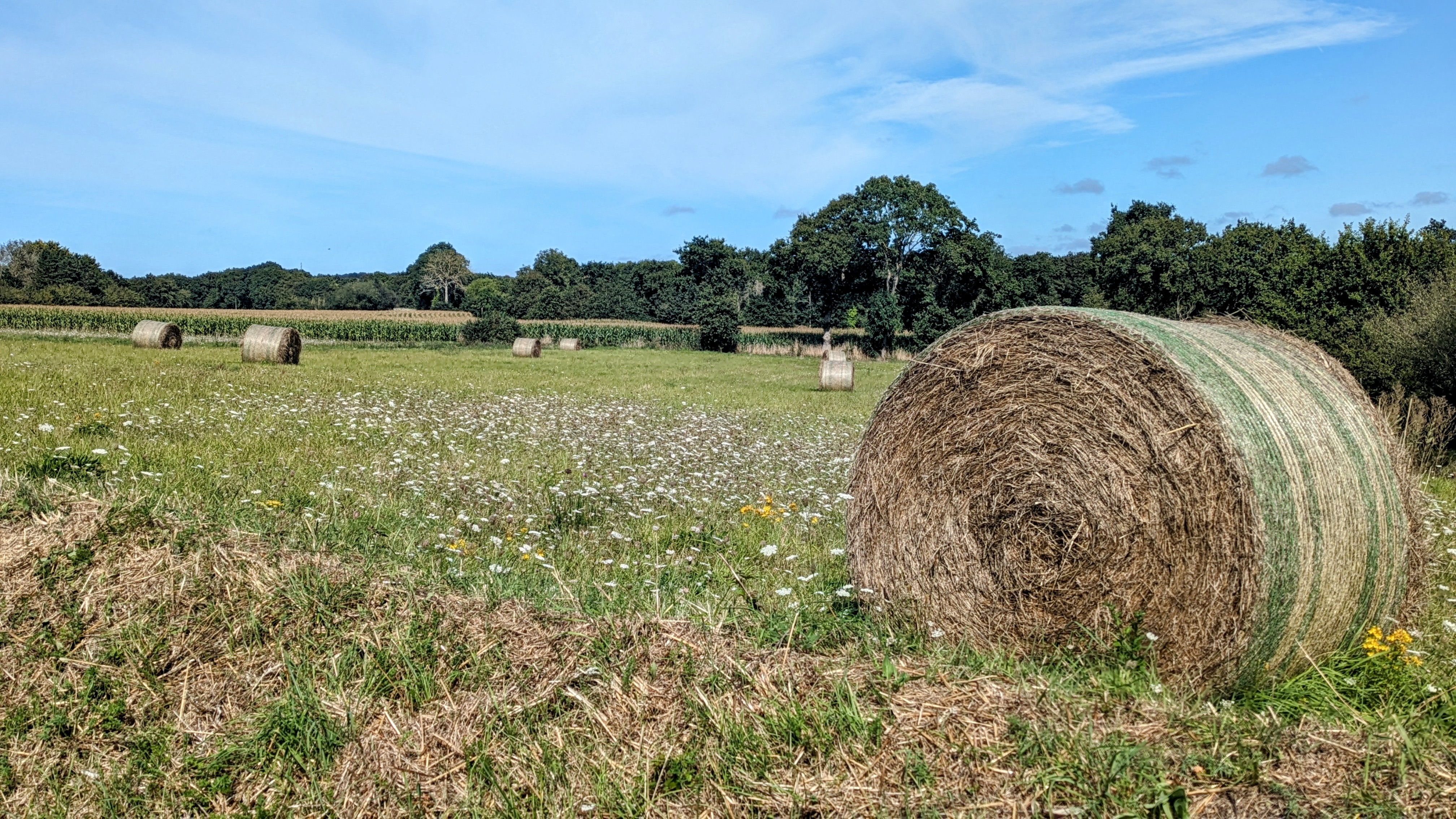 Photo n° 7 de l'avis de The.a fait le 22/08/2023 à 18:15