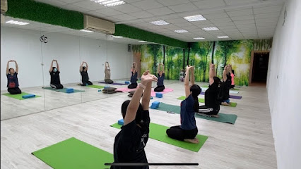 享瑜珈健康教室｜Shine yoga