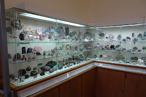 Steinmann-Institut für Geologie, Mineralogie und Paläontologie, Universität Bonn