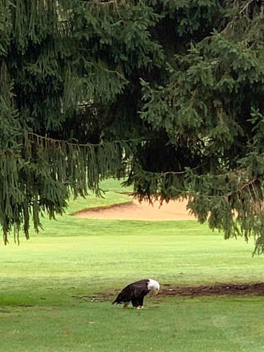 Golf Course «Bellevue Golf Course», reviews and photos, 5500 140th Ave NE, Bellevue, WA 98005, USA