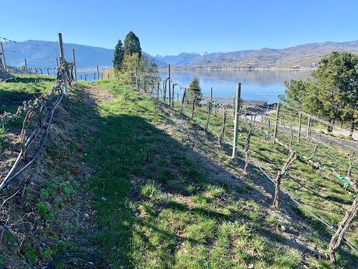Winery «Fielding Hills Winery», reviews and photos, 565 S Lakeshore Rd, Chelan, WA 98816, USA