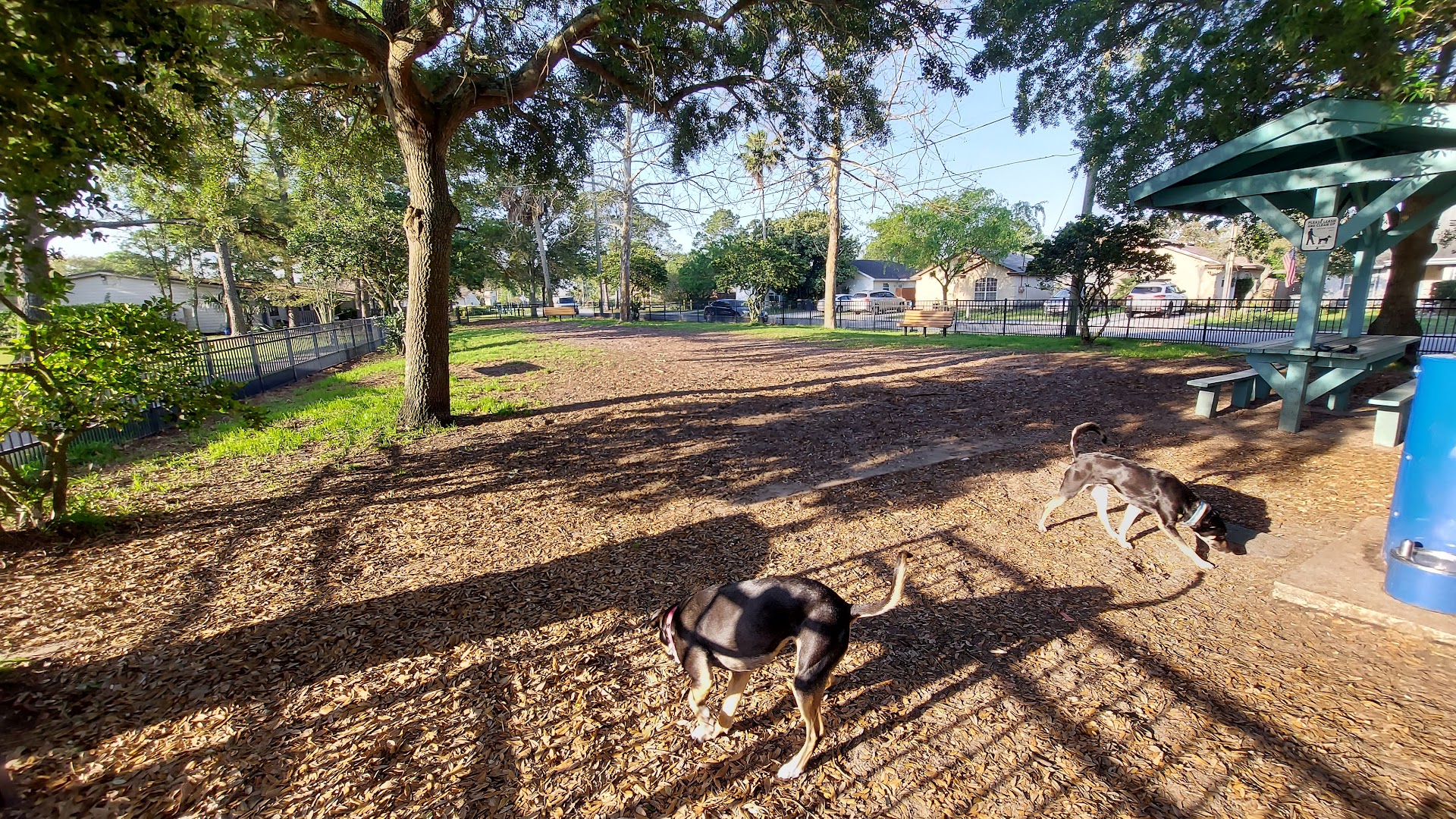 Rose Park Dog Park (members only)