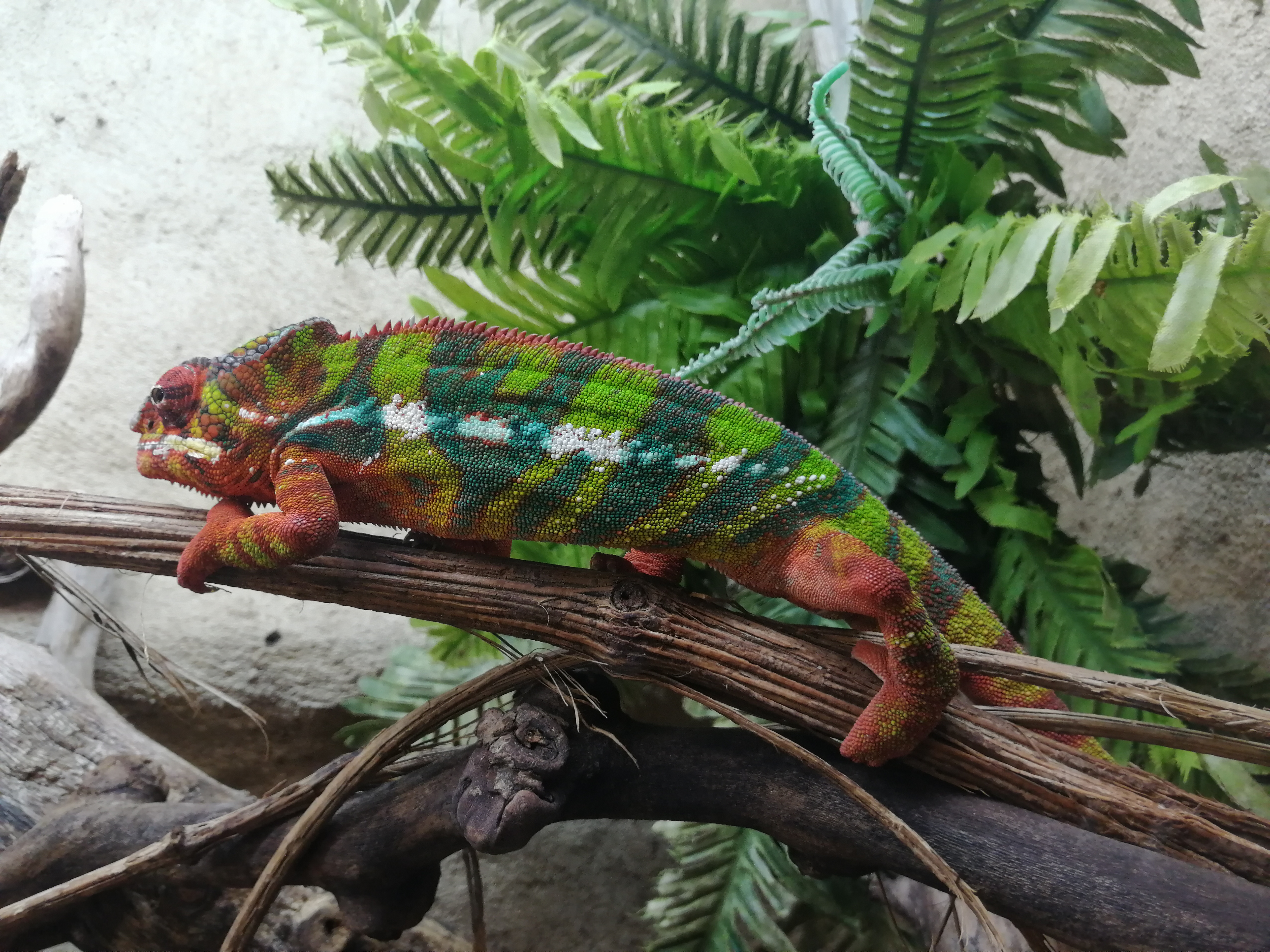 Photo n° 3 de l'avis de Mister.. fait le 16/07/2023 à 15:09