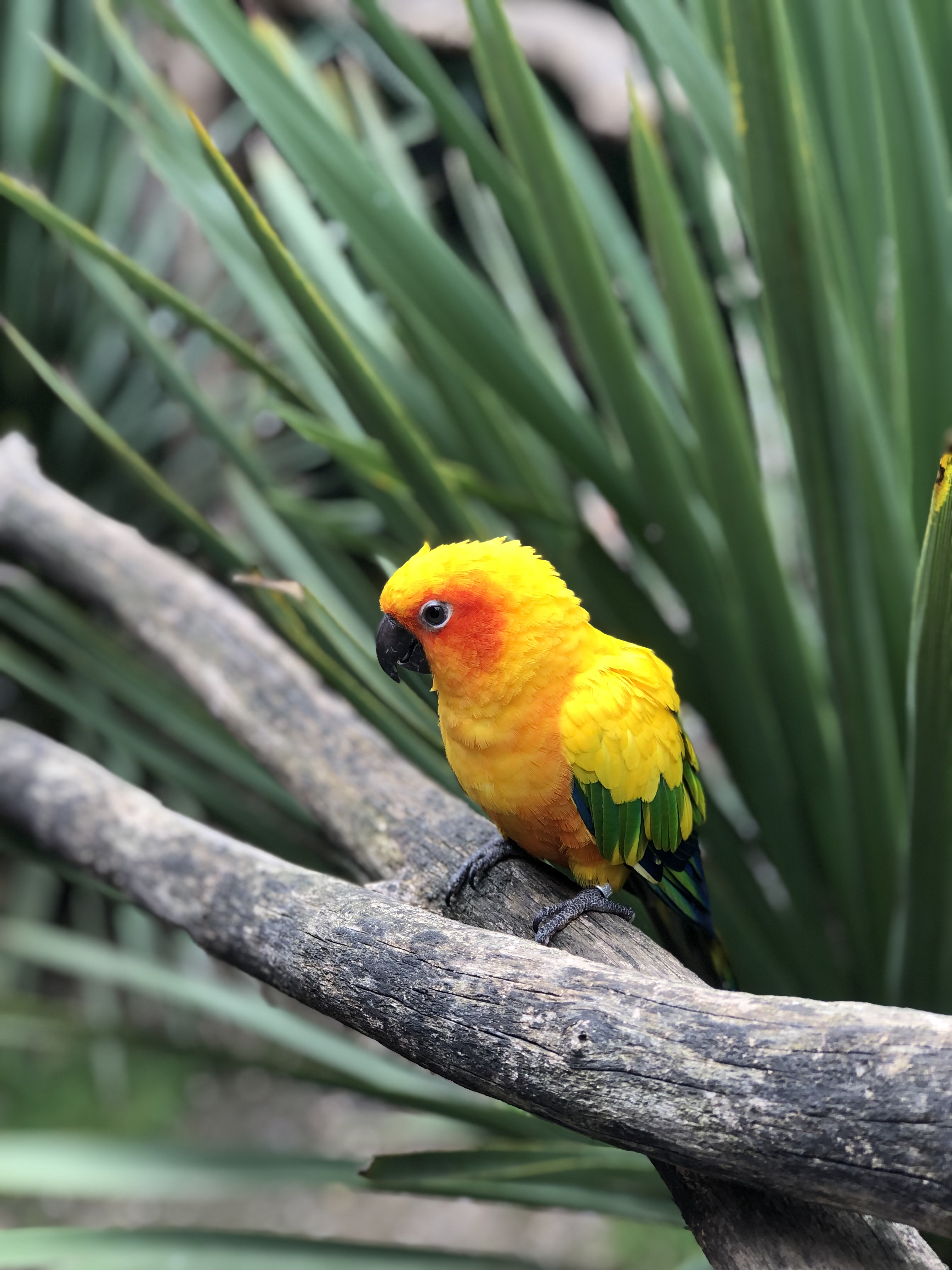 Photo n° 1 de l'avis de Sarah.a fait le 20/08/2021 à 16:28