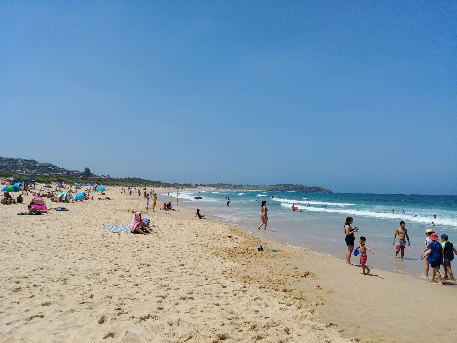 Photo de Dee Why Beach et le règlement