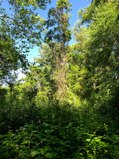 Nature Preserve «White Clay Creek Preserve», reviews and photos, 404 Sharpless Rd, Landenberg, PA 19350, USA