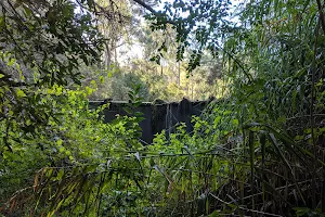 Avondale Dam image