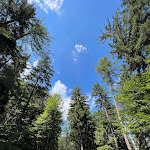 Photo n°8 de l'avis de Annamaria.u fait le 01/08/2023 à 14:01 sur le  Gasthaus Tomanegger à Jenesien