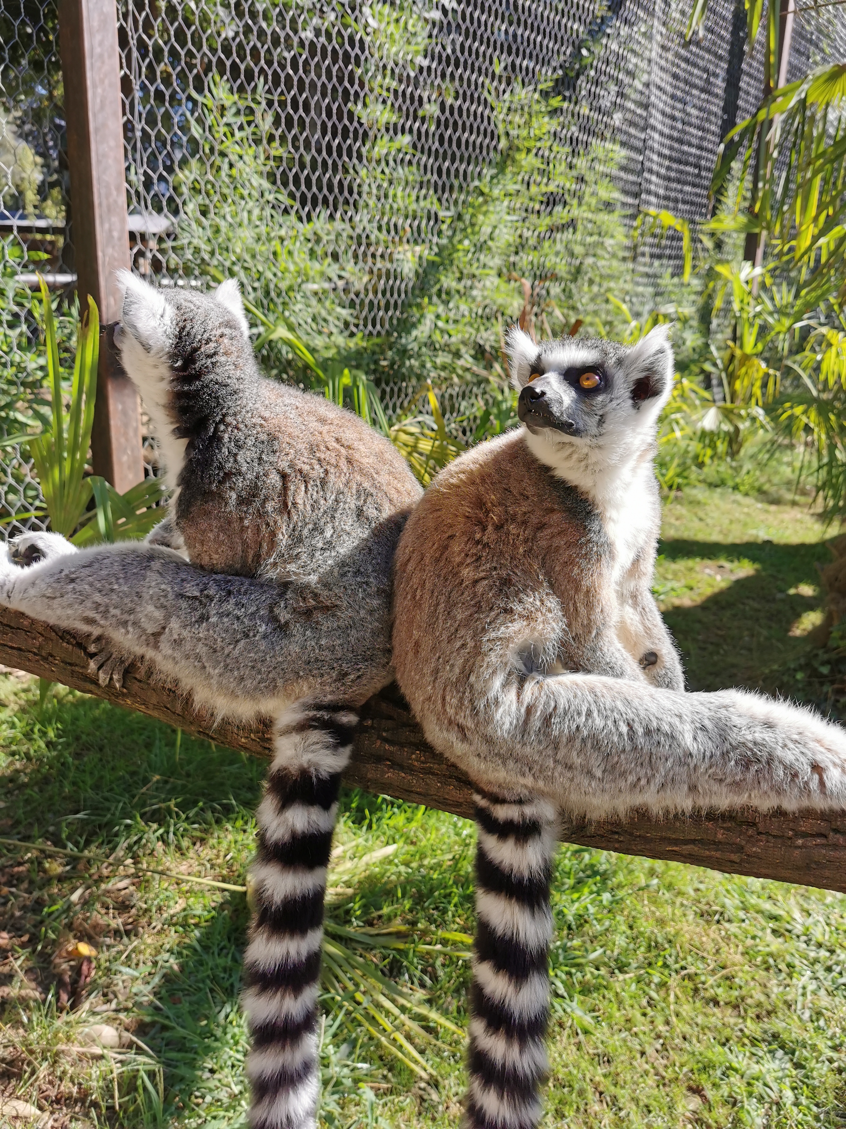 Photo n° 15 de l'avis de Sylvain.i fait le 03/09/2020 à 11:35