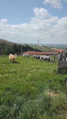 Gîtes de Châtelus à Chatelus