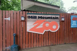 Mill Mountain Zoo image