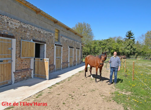 Lodge Gîte rural de L’Elev’Haras 3 épis Le Fidelaire