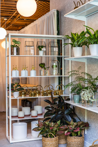 Florist «Pollen», reviews and photos, 2918 N Milwaukee Ave, Chicago, IL 60618, USA