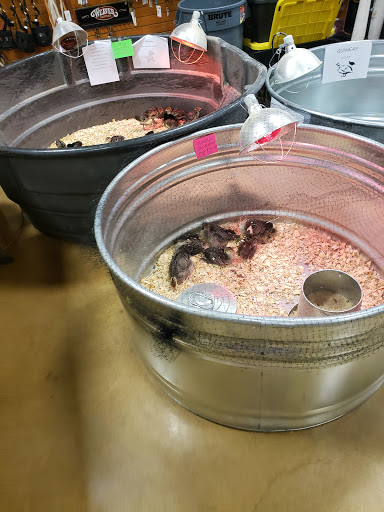 Animal Feed Store «Russell Feed & Supply Decatur», reviews and photos, 1817 US-287, Decatur, TX 76234, USA